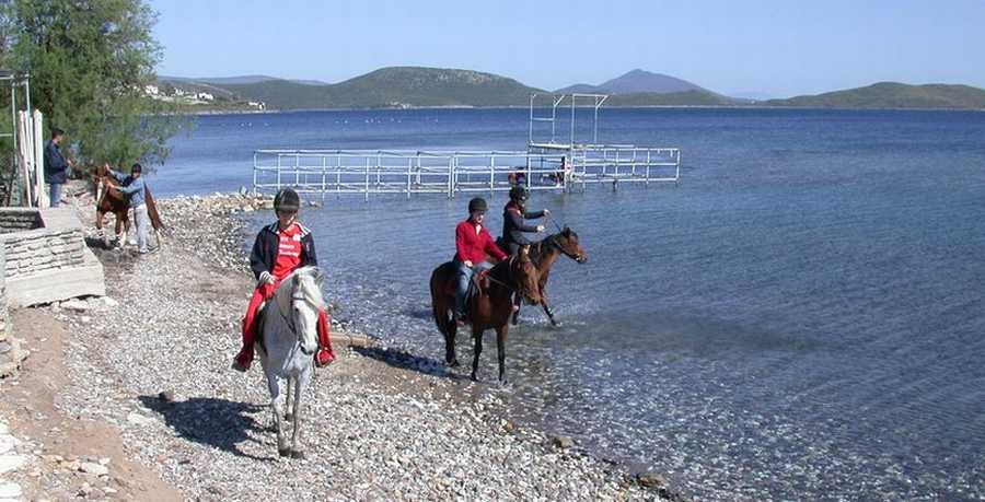 Bodrum Horse Riding Tour