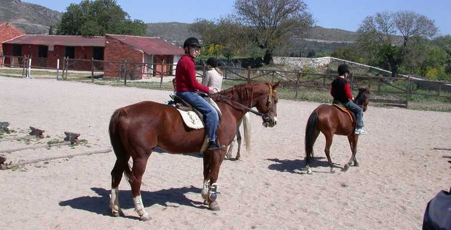 Bodrum Horse Riding Tour