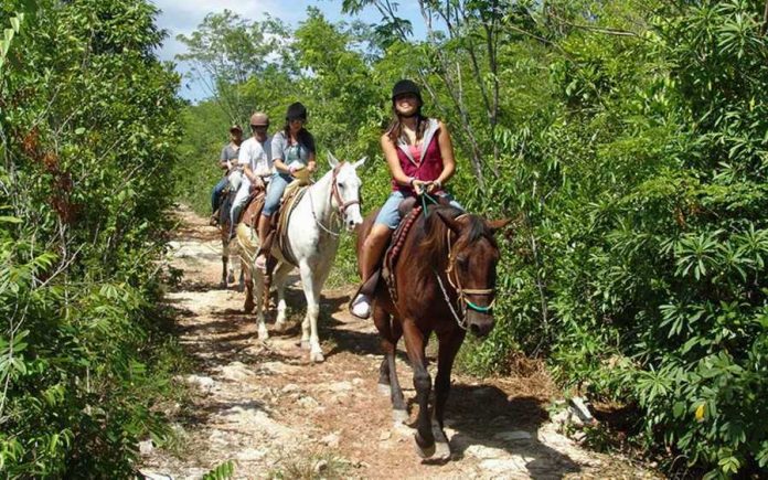 Bodrum-Horse-Riding-Tour-4 Bodrum Horse Riding Tour