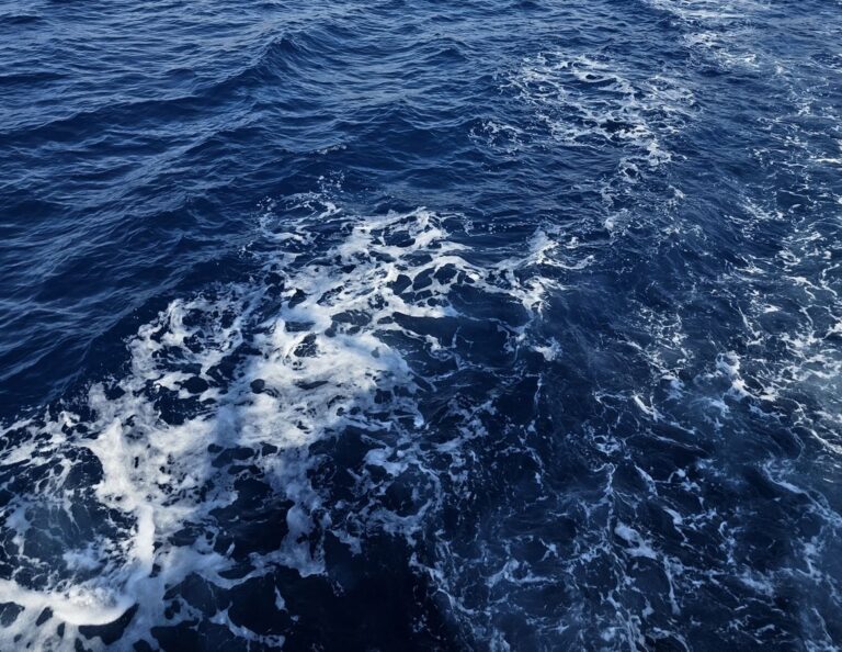 Daily Boat Charter Bodrum, Private Yacht Charter Bodrum