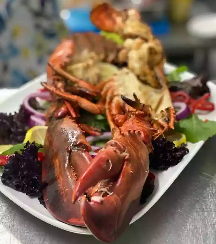 Moya Brasserie Bodrum