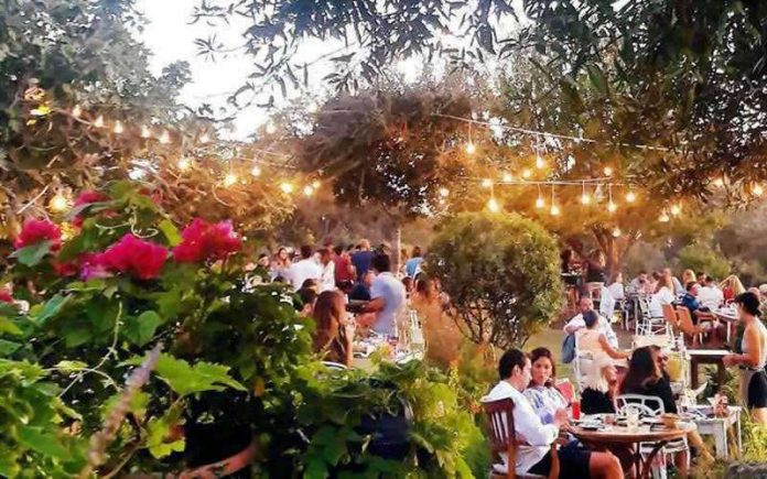 limon-gumusluk Limon Gümüşlük