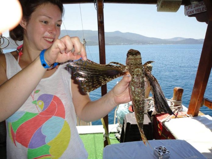 Bodrum-Balik-Tutma-Turu-2 Bodrum Balık Tutma Turu