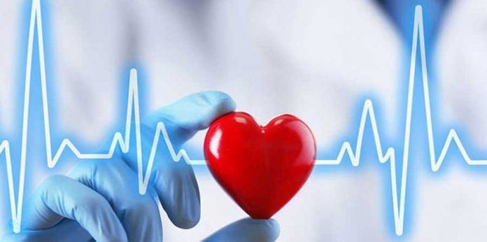 kardiyoloji ÖZEL MEDLIFE KLİNİĞİ BODRUM