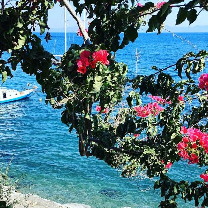 Mazı-Koyu-Bodrum-3