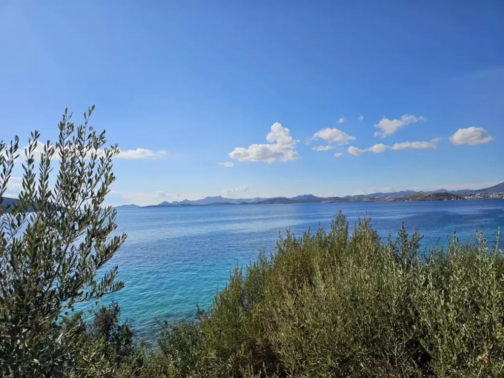 Bodrum Tatil Rehberi