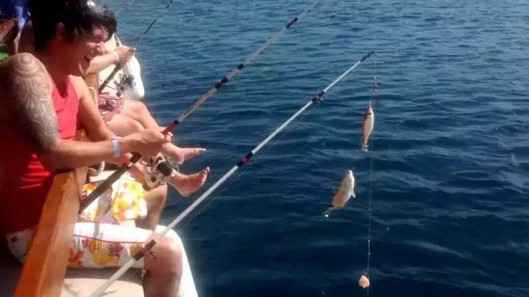 Bodrum Balık Tutma Turu