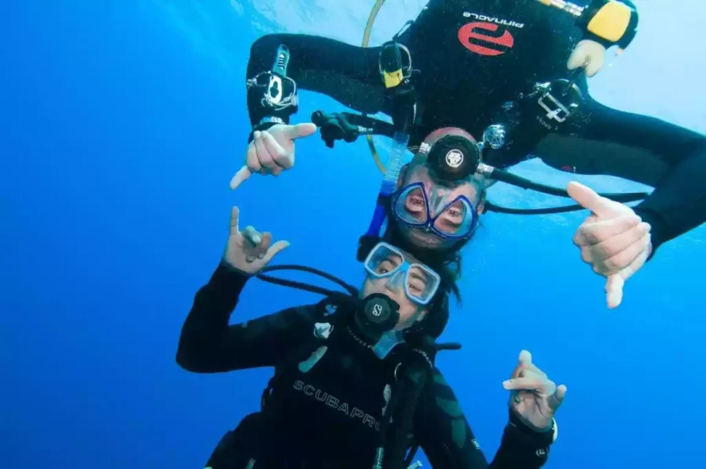 Bodrum Dalış Turları 🤿