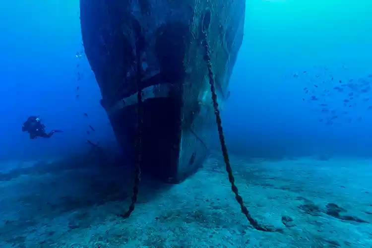 Bodrum Su Sporları 🌊