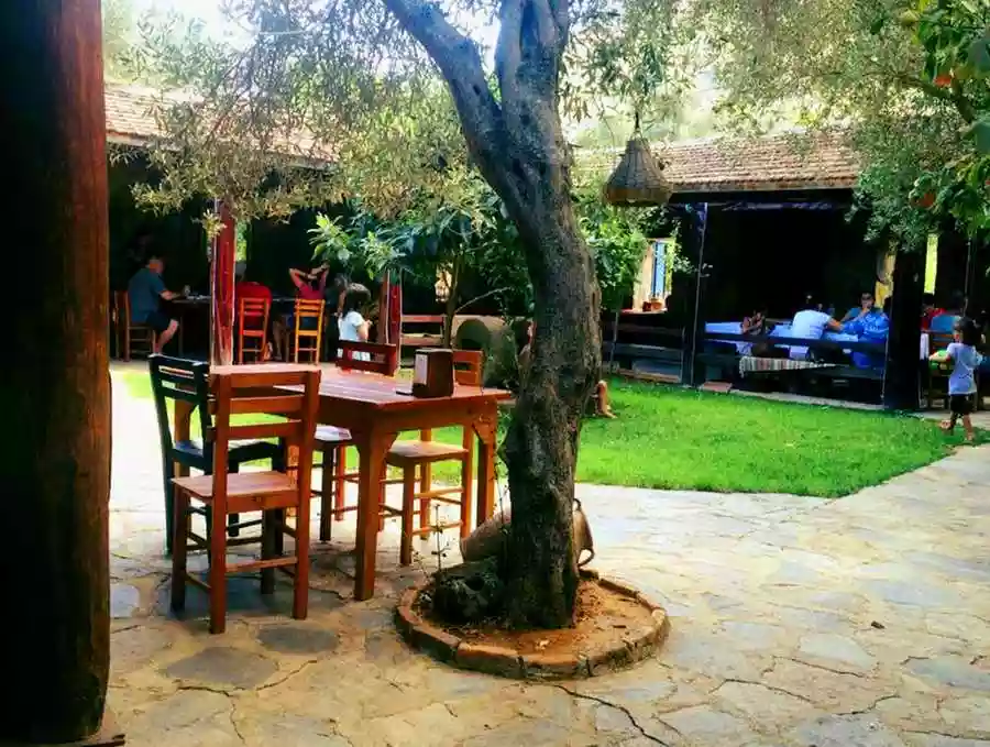 Etrim Bodrum Köy Kahvaltısı